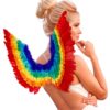 Federflügel Regenbogen (60 x 40 cm) - Thumbnail Image 1