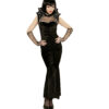 Spiderella - Thumbnail Image 1