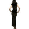 Spiderella - Thumbnail Image 3