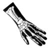 Paar Handschuhe Bones XL - Thumbnail Image 4