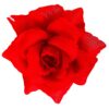 Rosen-Brosche - Thumbnail Image 1