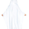 Geist - Thumbnail Image 1