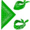 Bandana Grün (55 x 55 cm) - Thumbnail Image 1
