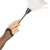 Staubwedel - Thumbnail Image 2