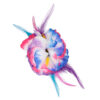 Hibiscus Deluxe - Thumbnail Image 2