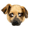 Plüsch-Halbmaske Hund - Thumbnail Image 1