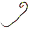 Gummi-Python - Thumbnail Image 2