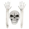 Begrabenes Skelett - Thumbnail Image 1