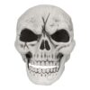 Begrabenes Skelett - Thumbnail Image 2