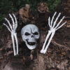 Begrabenes Skelett - Thumbnail Image 3