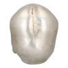 Schädel Shine - Thumbnail Image 3