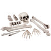Stück Totenkopf und Knochen - Thumbnail Image 1