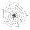 Spinngewebe elastisch mit Spinne - Thumbnail Image 1