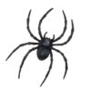 6 Gruselige Tiere - Thumbnail Image 7