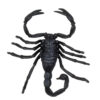 6 Gruselige Tiere - Thumbnail Image 6