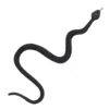 6 Gruselige Tiere - Thumbnail Image 4