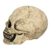 Latex Kopfmaske Skull - Thumbnail Image 4