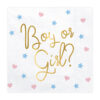 Servietten Boy or Girl? (20 Stk.) - Thumbnail Image 1